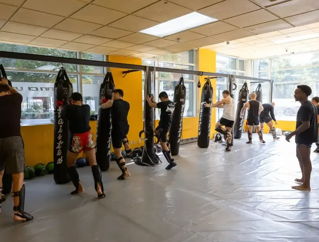 Members working a row of heavy bags by the Belltown windows